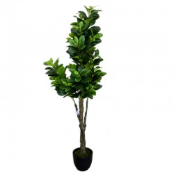  A small rose tree, golden basin 7109 Tree brought 1.45 cm