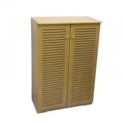 Gold 2 Door Shoe Cabinet YF-672